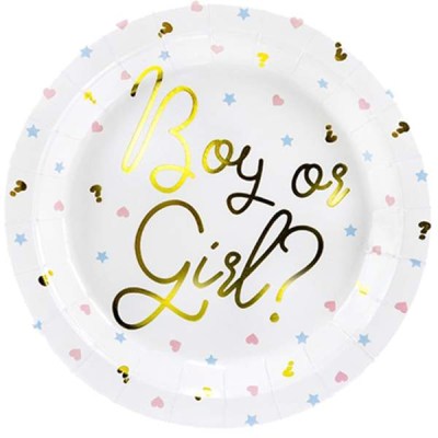 piata-gia-gender-reveal-_boy-or-girl_-_6-tem__1